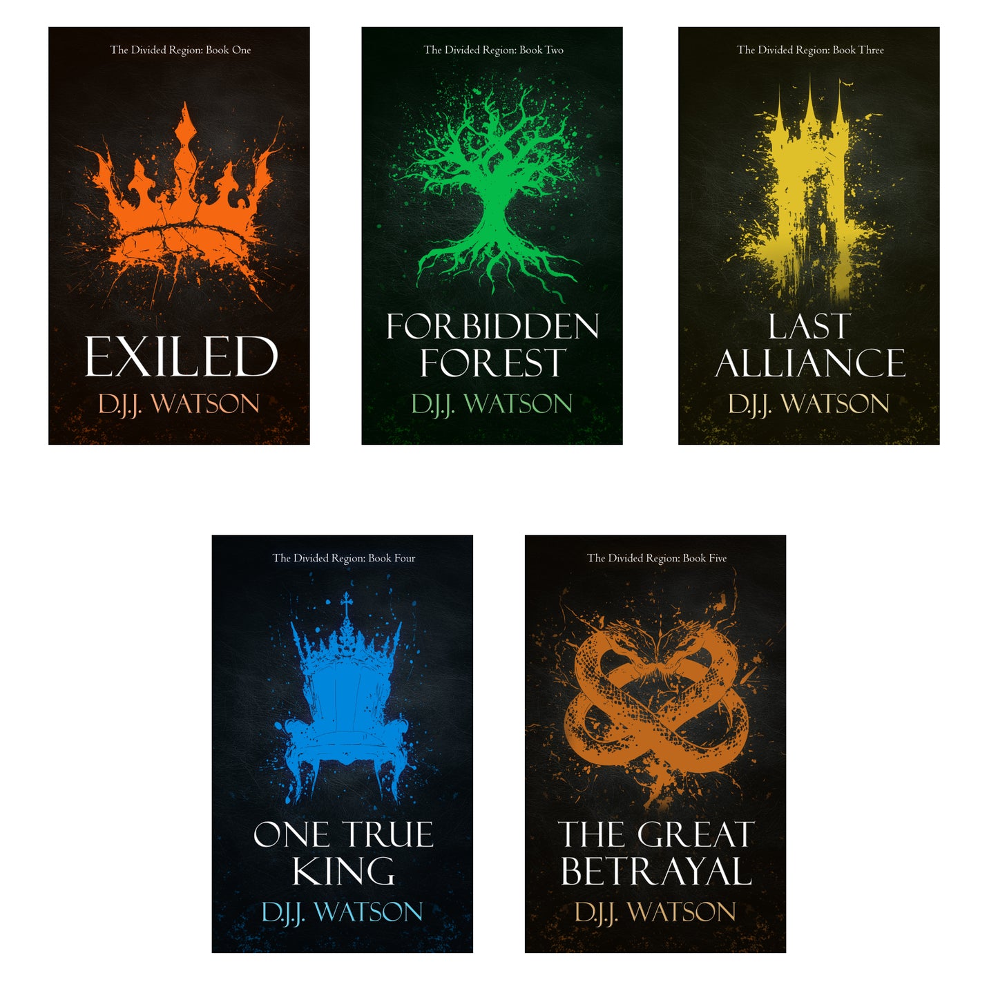 The Divided Region: Digital Bundle