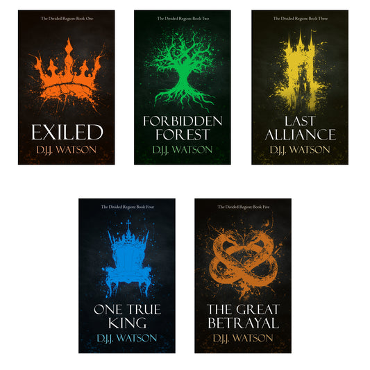 The Divided Region: Digital Bundle