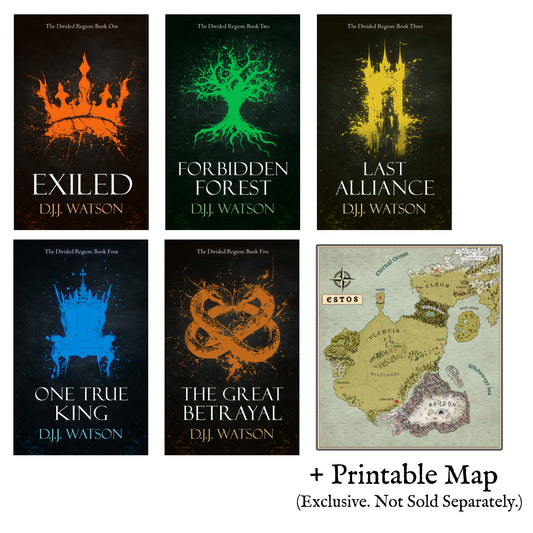 The Divided Region: Digital Bundle