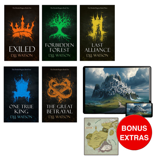 The Divided Region: Digital Bundle