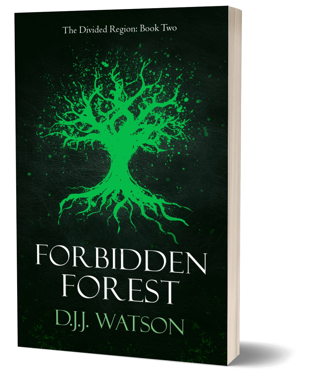 Forbidden Forest (Book #2 of The Divided Region)