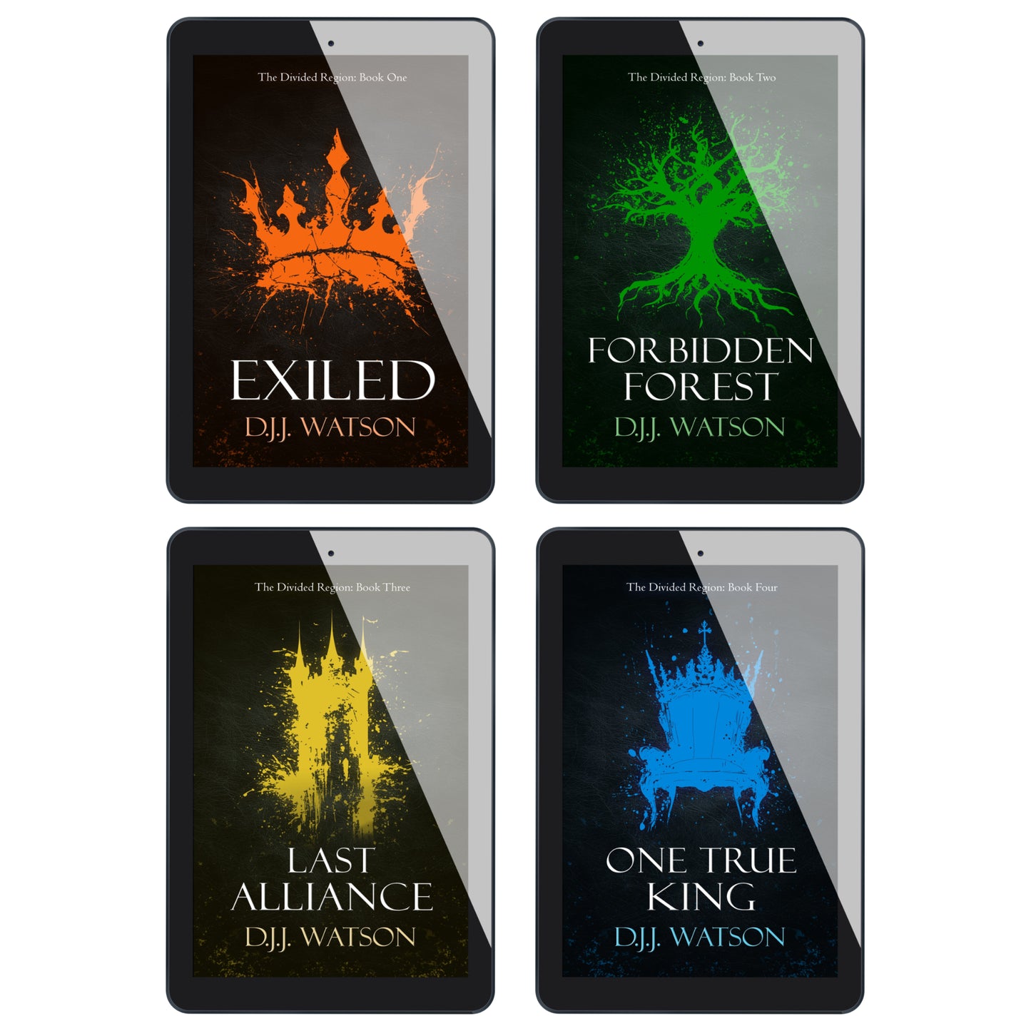 The Divided Region Series