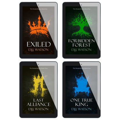 The Divided Region Series