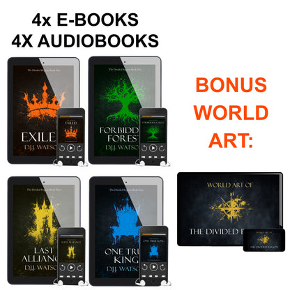 The Divided Region: Digital Bundle